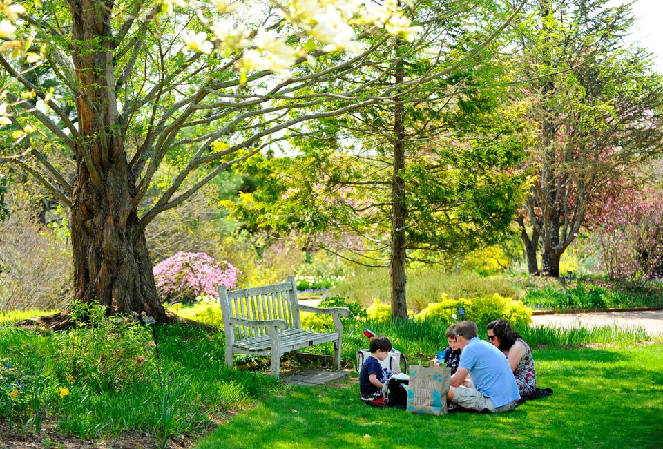 Picnic at Tower Hill Botanic Garden. Photo by Brooks Canaday