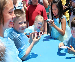 Blueberry pie is the dish of the day at the Mount Dora Blueberry Festival. Photo courtesy of the spring festival