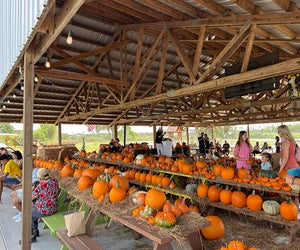 Pumpkin Ponderosa at Showcase of Citrus bursts with major fall vibes. Photo courtesy of event