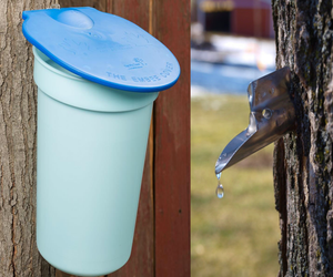 Head to Muscoot Farm this weekend to learn all about maple sugaring. Photo courtesy of the farm
