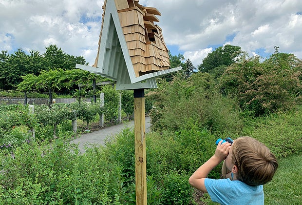 Museum exhibits in NYC For the Birds
