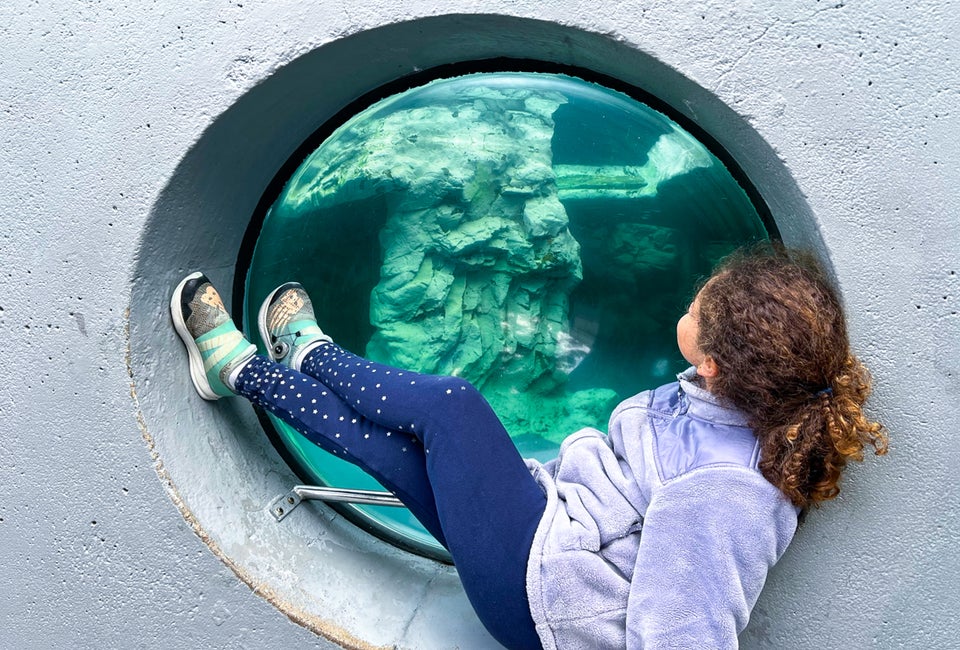 Mystic Aquarium offers Connecticut kids a remarkable look at sea life! Mystic Aquarium photo by Jocelyn Sherman Avidan