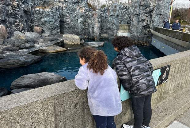Image of kids at Mystic Aquarium - Winter Day Trips in Connecticut