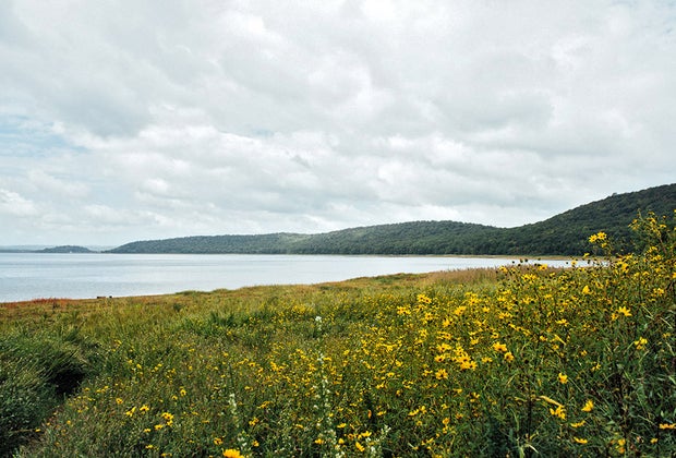 Kid-friendly fishing near New Jersey Round Valley Reservoir