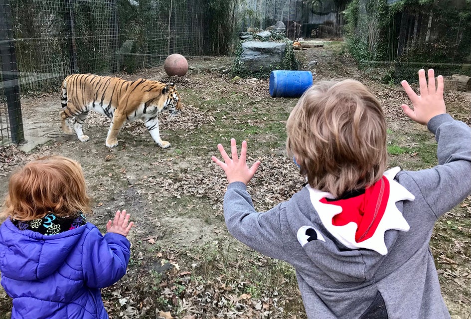 Admission to the Cohanzick Zoo in Bridgeton is completely free. Photo by Lisa Warden 