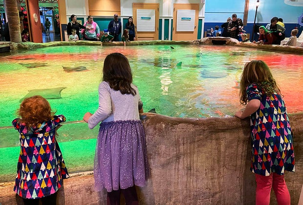 Things to do Winter Break NJ: Feel sting rays at the Adventure Aquarium