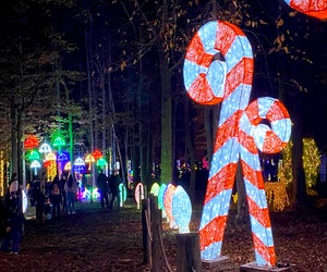 Take in the glittering and festive decorations at the Village at Ann Ellen. Photo by Rose Gordon Sala