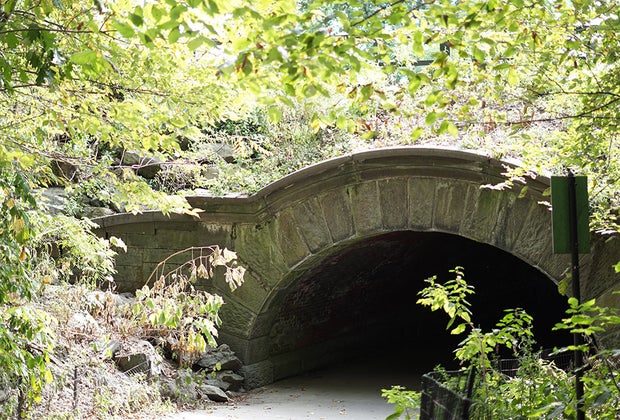 Central Park with kids North Woods Bridge