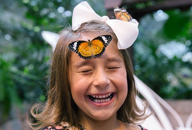 The Butterfly Palace: Branson with Kids: 50 Best Things To Do in Branson, MO