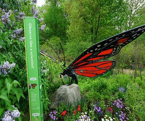 Spot butterflies—real and supersized—when you explore the newly reopened Everett Children's Adventure Garden at the New York Botanical Garden. 