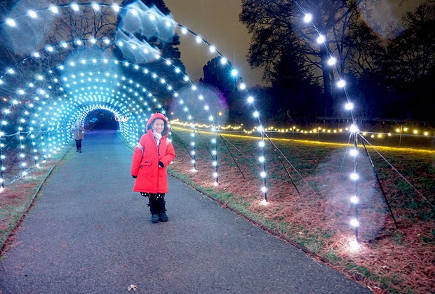 NYBG Holiday Train Show: NYBG Glow's Glow Row