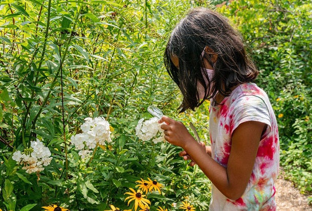 Summer memberships New York Botanical Garden