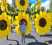 Van Gogh’s Flowers is now open at the  New York Botanical Garden through October 26.