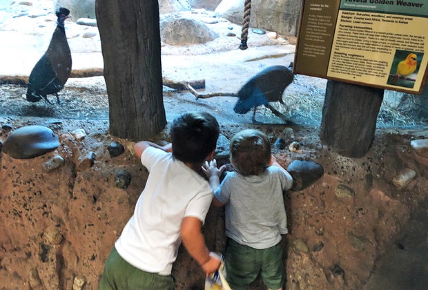 Kids explore the Staten Island Zoo in New York City