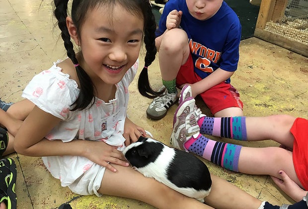 Best Manhattan Birthday Party Places for Preschoolers: Art Farm in the City