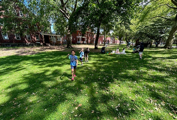 Things to do on Governors Island with kids: Enjoy the lawns
