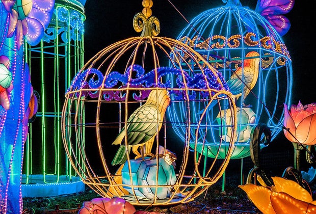 Lantern Festivals Long Island