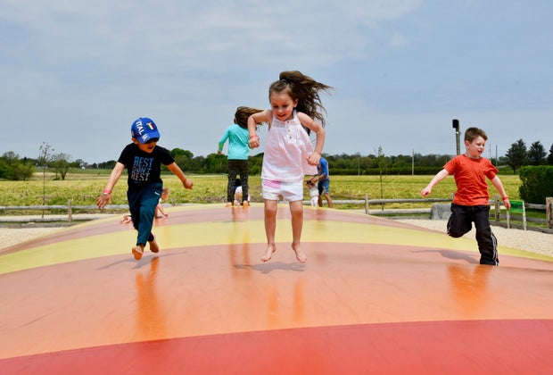 Family-Friendly Wineries on Long Island's East End: Harbes Family Farm