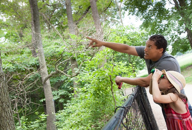 birding in Prospect Park