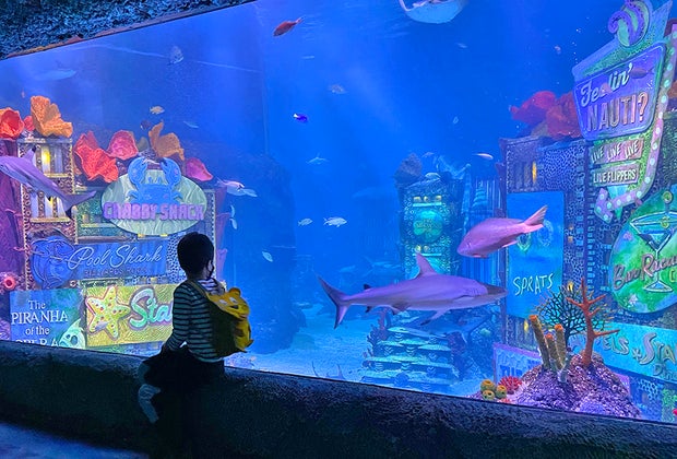 Visiting American Dream Mall in New Jersey: Sea Life Aquarium