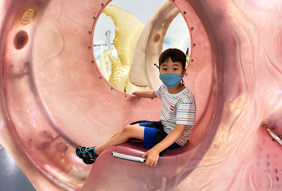 Take a spin on the SeaGlass Carousel. Photo by Diana Kim
