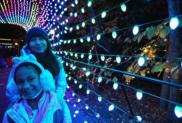 Best of the Bronx: Bronx Zoo Holiday Lights
