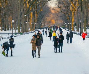 Embrace the winter magic in Central Park. Tagger Yancey IV/NYC Tourism + Conventions