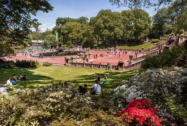 Central Park is one of New York City's top attractions