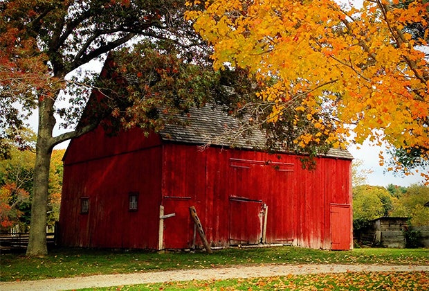 Old Bethpage Village Restoration's red barn and fall foliage make a beautiful photo background