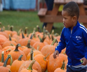 Enjoy fall with pumpkin picking, fall activities and, for the adults, locally brewed beer. Photo courtesy of the Garden of Eve