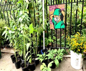 Join the Old Stone House for some safe outdoor fun this fall! Photo courtesy of the OSH