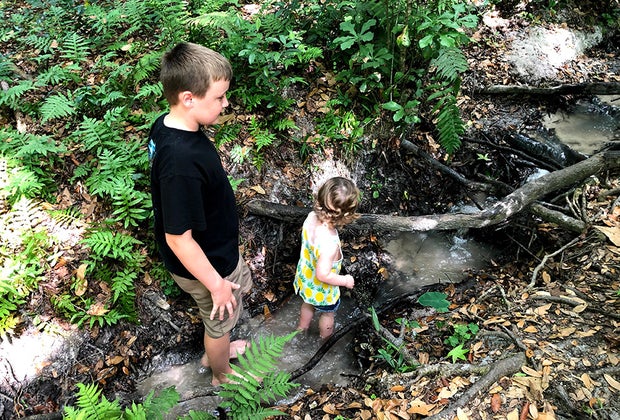 Hidden Waters Preserve: Orlando Summer Fun: 50 Amazing FREE Activities