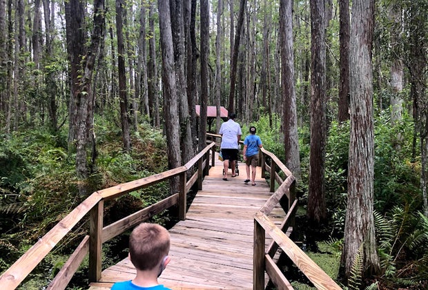 kids walking on a boardwalk through Florida's Everglades
