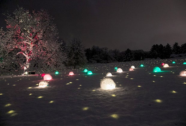 Drive Through Christmas Lights and Holiday Light Displays Near Chicago