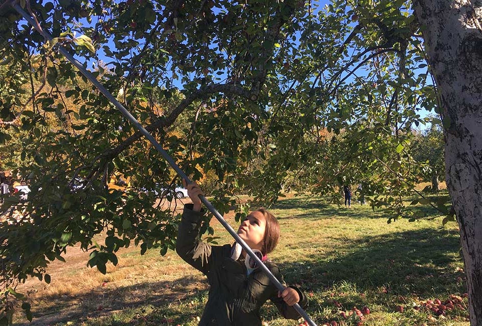 Take a trip up to Outhouse Orchards in scenic North Salem to take a hayride, pick apples or to get lost in a corn maze. Photo by Sara Marentette