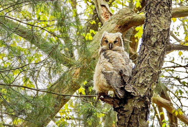 12 Great Places To Hike with Kids around Boston: Habitat Wildlife Sanctuary