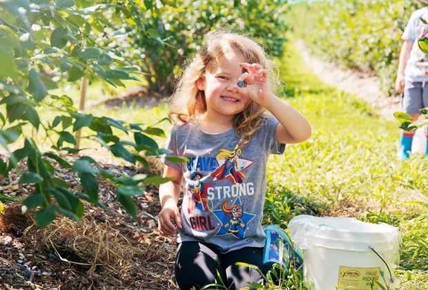 Photo of child picking blueberries - Heat Wave Hot List