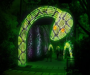 LumiNature. Photo courtesy of Philadelphia Zoo