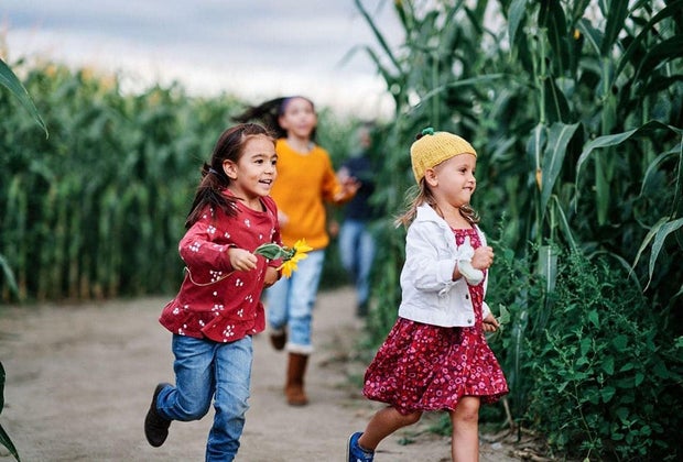 Philly corn mazes Johnson's Corner Farm.