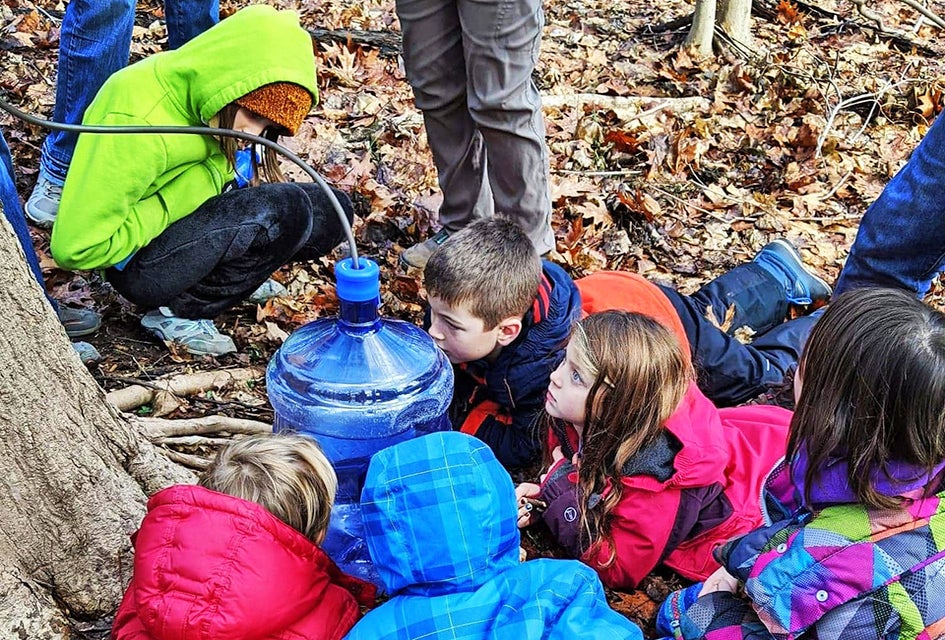 Visit Wissahickon Environmental Center to learn how sap is collected from sugar maple trees and turned into syrup. Photo courtesy of the center