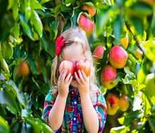 Just about an hour from Chicago, kids can pick apples at Apple Holler from mid-August to November.