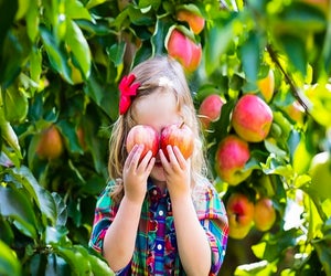 Just about an hour from Chicago, kids can pick apples at Apple Holler from mid-August to November.