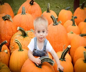 The best pumpkin patches in Connecticut offer a great opportunity to explore the outdoors with a fun fall activity! Photo courtesy of Brown's Harvest 