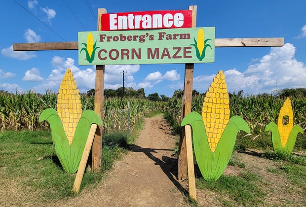 Corn mazes near Houston: Froberg's Farm
