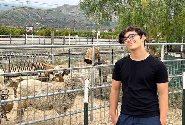 Sunburst Railbikes in Ventura County: a petting zoo pit stop
