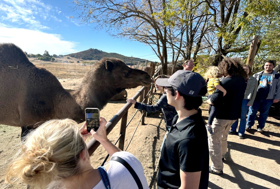 Have your cameras ready because these guys move fast when they smell food! Photo by Chuck Rose