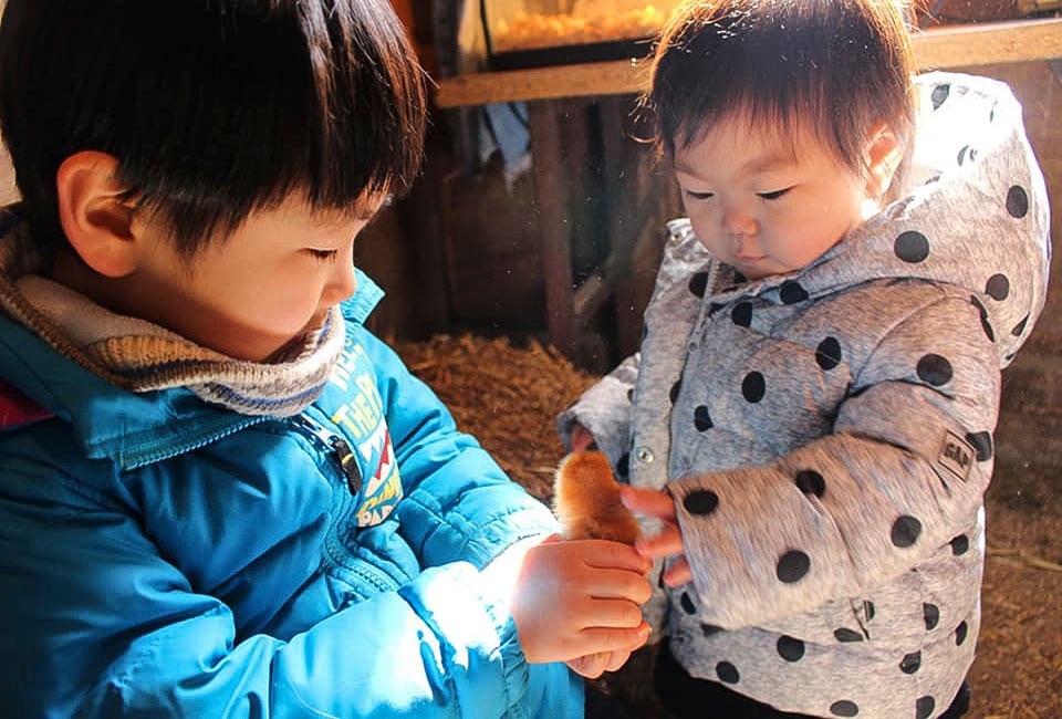 Hold baby animals at Enjoy Pioneer Farm. Photo courtesy of Pioneer Farm, Facebook
