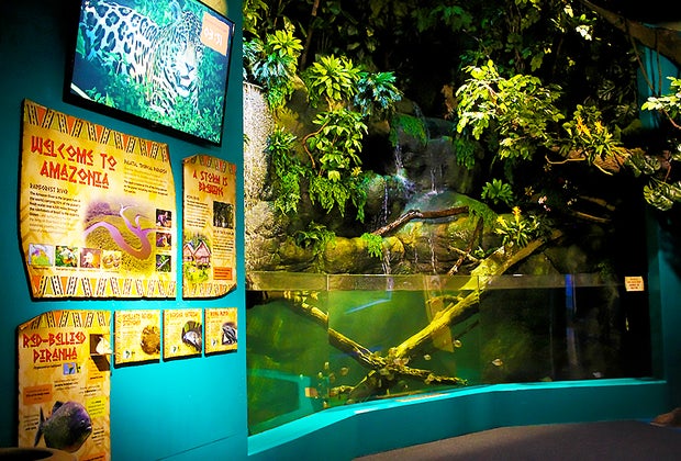 Adventure Aquarium