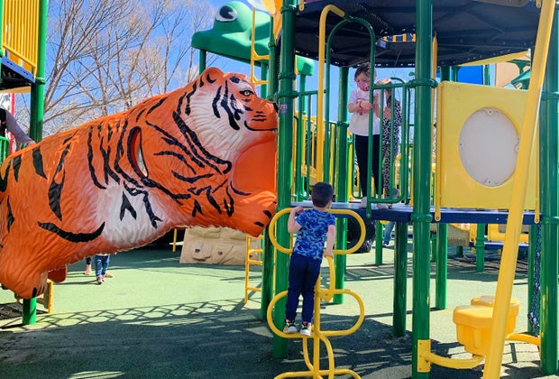 Playground fun at Franklin Park Zoo