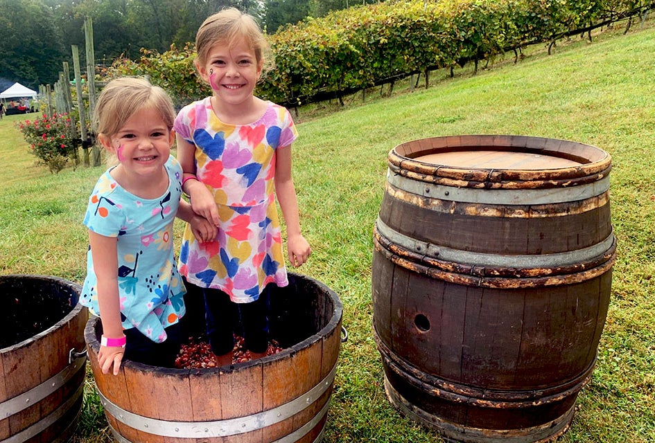 Potomac Point Vineyard and Winery . Photo courtesy of the winery